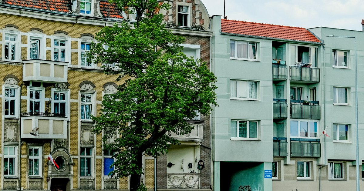 Mieszkania do wynajęcia Poznań