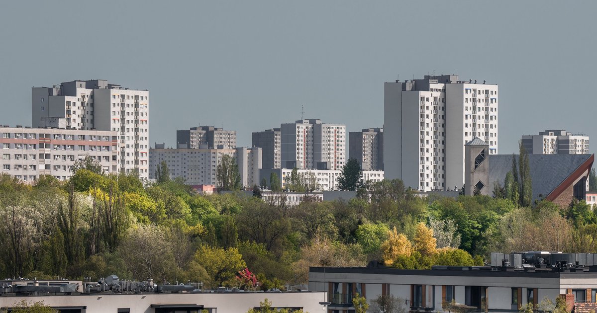 Mieszkania do wynajęcia w Rzeszowie
